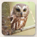 Recherche de hibou de dessous de verres Portrait