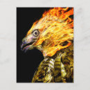 Recherche de phenix cartes postales Feu