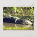 Search for swamp postcards Water