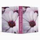 Recherche de osteospermum Africain