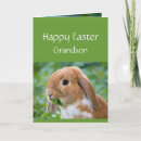 Search for for grandson easter cards Funny
