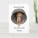 Recherche de fainéant vœux cartes Dog