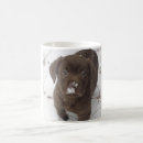 Search for chesapeake bay retriever mugs Puppy