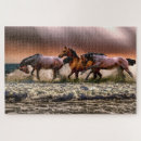 Search for sea horse puzzles Horses