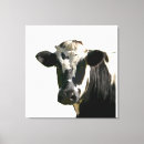 Search for dairy cow canvas prints Animal