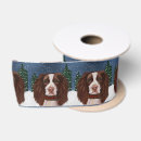 Recherche de anglais rubans Springer spaniel anglais