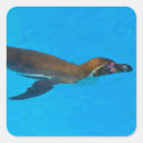 Search for humboldt stickers Animal