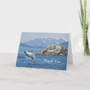 Search for humpback cards Ocean