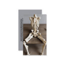 Search for orthopedic business cards Skeleton