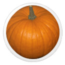 Search for halloween knobs and pulls Thanksgiving