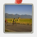 Search for road ornaments Mountain