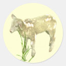 Search for cute ewe stickers Farming