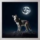 Recherche de lune loup posters Ciel nocturne