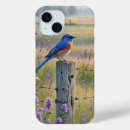 Search for barbe cases Fence