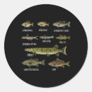 Search for typed stickers Species