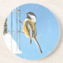 Search for black capped chickadee barware Bird