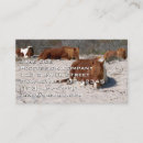 Recherche de chevaux sauvages cartes visite Faune