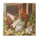 Search for chick tiles Farm