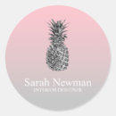 Search for pink pineapple stickers Modern