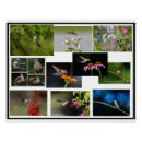 Search for nectar posters Summer