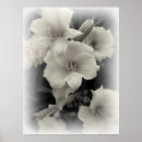 Search for emerging posters Flowers