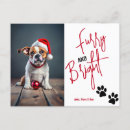 Search for furry invitations Funny