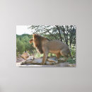 Search for behaviour canvas prints Lying down