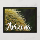 Search for spines postcards Arizona