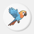 Search for parrot magnets Bird