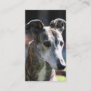 Recherche de levrier cartes visite Animaux