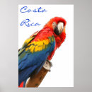 Recherche de le costa rica posters Bleu