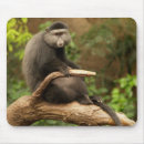 Search for monkey mousepads Sitting