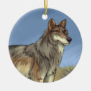 Search for wolves ornaments Endangered species