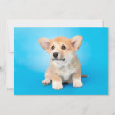Search for corgi thank you cards Cute