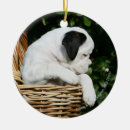 Search for boxer dog ornaments Puppies