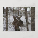 Recherche de marquis cartes postales Automne