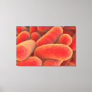 Recherche de pathologie art Médecine