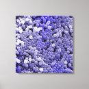 Search for bacterium art Blue