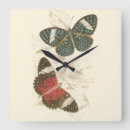Recherche de papillon rouge horloges Insectes