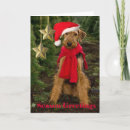 Search for airedale terrier lover cards Dogs