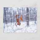 Recherche de se givrer cartes postales Enneigé