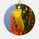 Search for calla lily ornaments Flowers