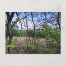 Search for champlain postcards Nature