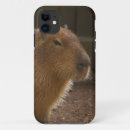 Recherche de rongeurs iphone coques Capybara