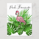 Recherche de animaux tropicaux de forêt tropicale cartes postales Pour enfants