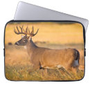 Search for horns electronics Buck
