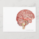 Search for rendering postcards Human