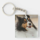Search for sheltie keychains Shelty
