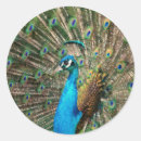 Search for blue mini postcards Green