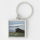 Search for winter snow scene keychains Wildlife